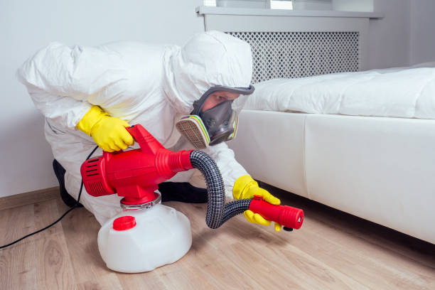 Best Affordable Pest Control Services  in Boone, IA