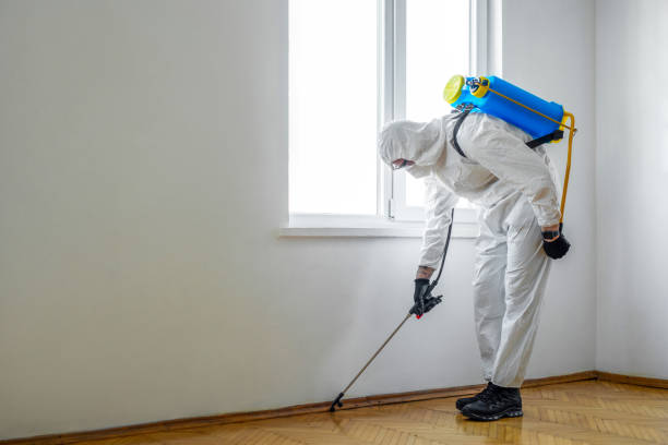 Best Residential Pest Control  in Boone, IA