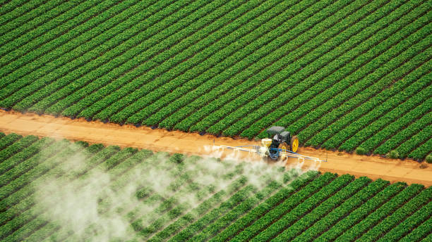 Best Pest Removal Services  in Boone, IA