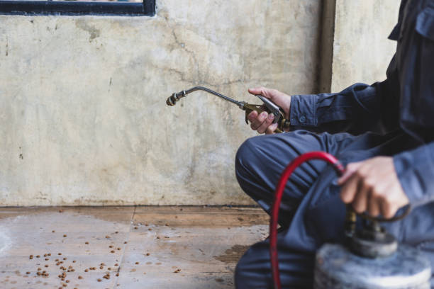 Professional Pest Control in Boone, IA